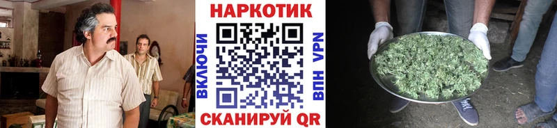 Купить наркотики Заринск СК Канабис Мефедрон Гашиш Кокаин