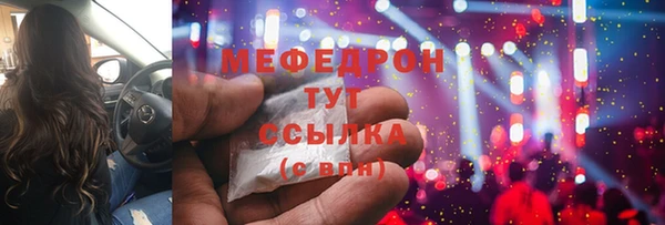 индика Абаза