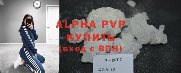 индика Абаза