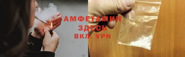 индика Абаза