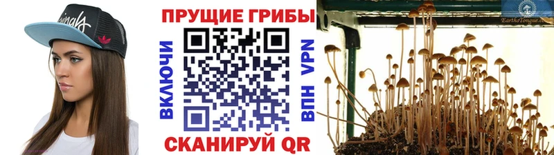 Галлюциногенные грибы мухоморы  купить закладку  Заринск 