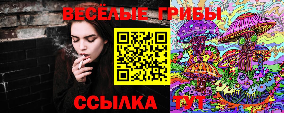 Заринск  Галлюциногенные грибы прущие грибы  Вход с VPN 