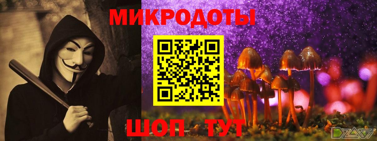 Псилоцибиновые грибы ЛСД Заринск